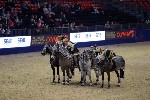 Quadrille - 00884